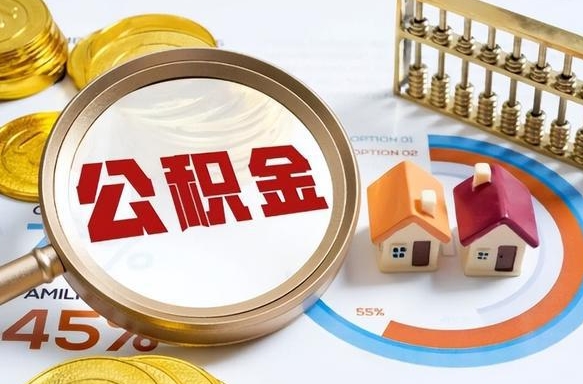 公积金怎么一次性全部提取-驻马店公积金代办平台